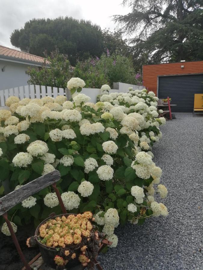 Studio Cap A Cap Mimizan-Plage Zewnętrze zdjęcie